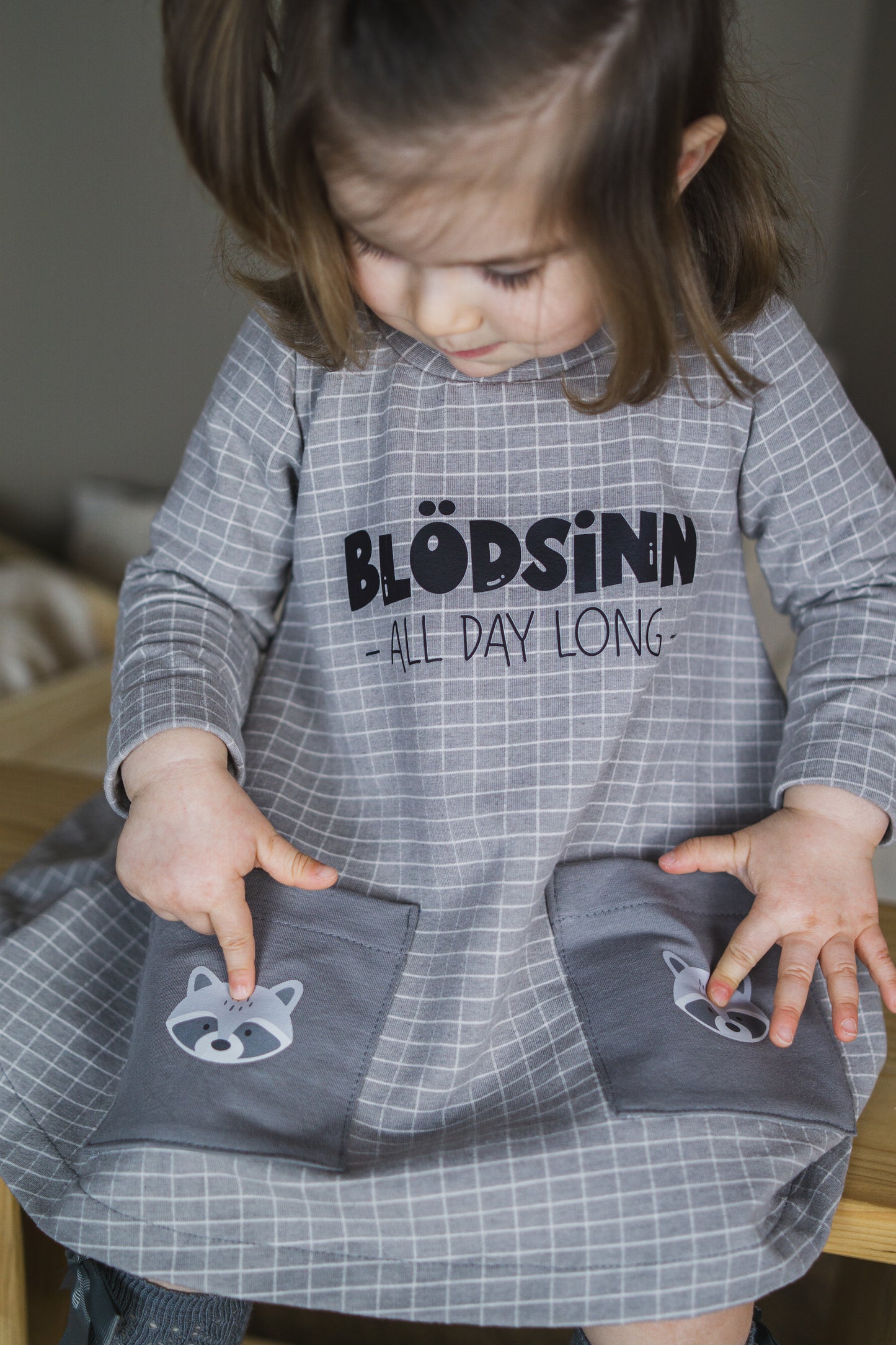 Bügelbild: Waschbär