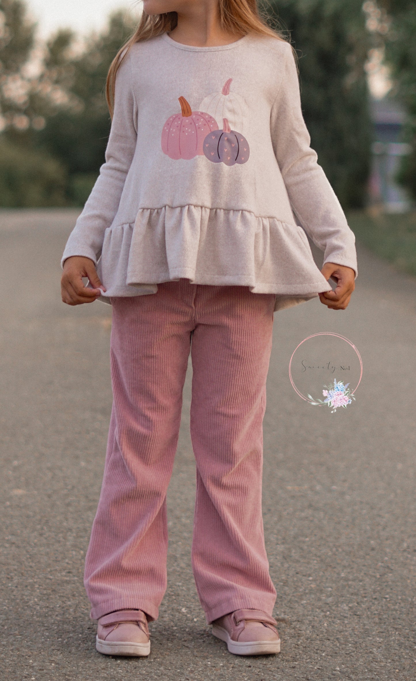 Bügelbild: Kürbisse