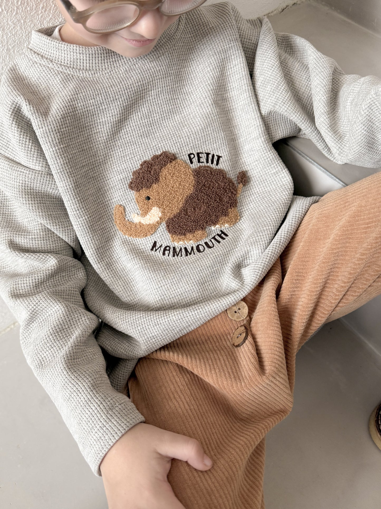 Chenille Patch: Mammut