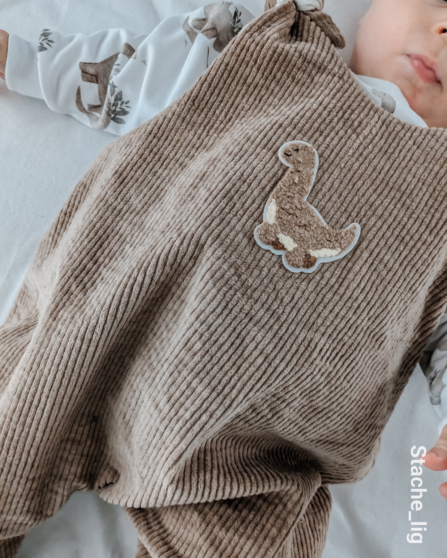 Chenille Patch: 3er Set Dinos